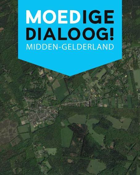 Google Earth Midden-Gelderland